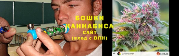 крисы Корсаков