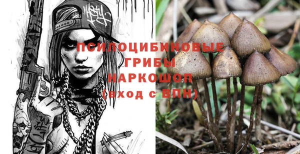 ECSTASY Армянск