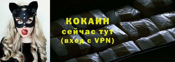 ECSTASY Армянск