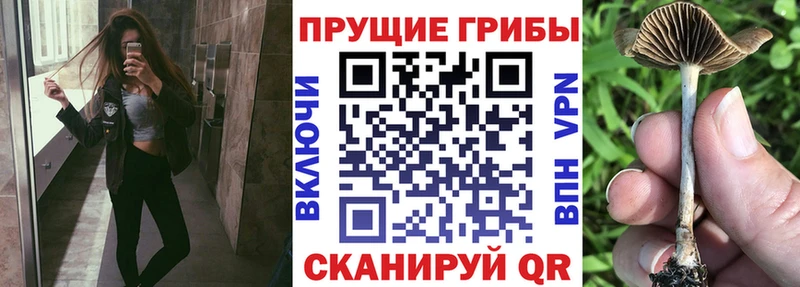 Галлюциногенные грибы ЛСД  мега ссылки  Арсеньев  как найти закладки 